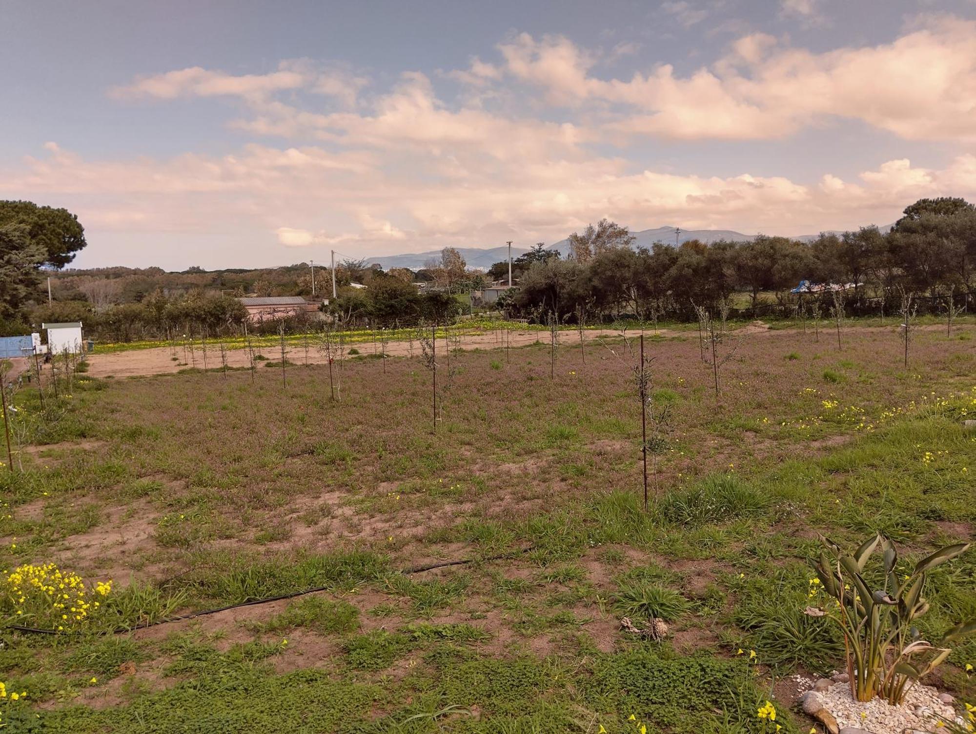 Mare Valledoria (Sardinia) Exterior foto