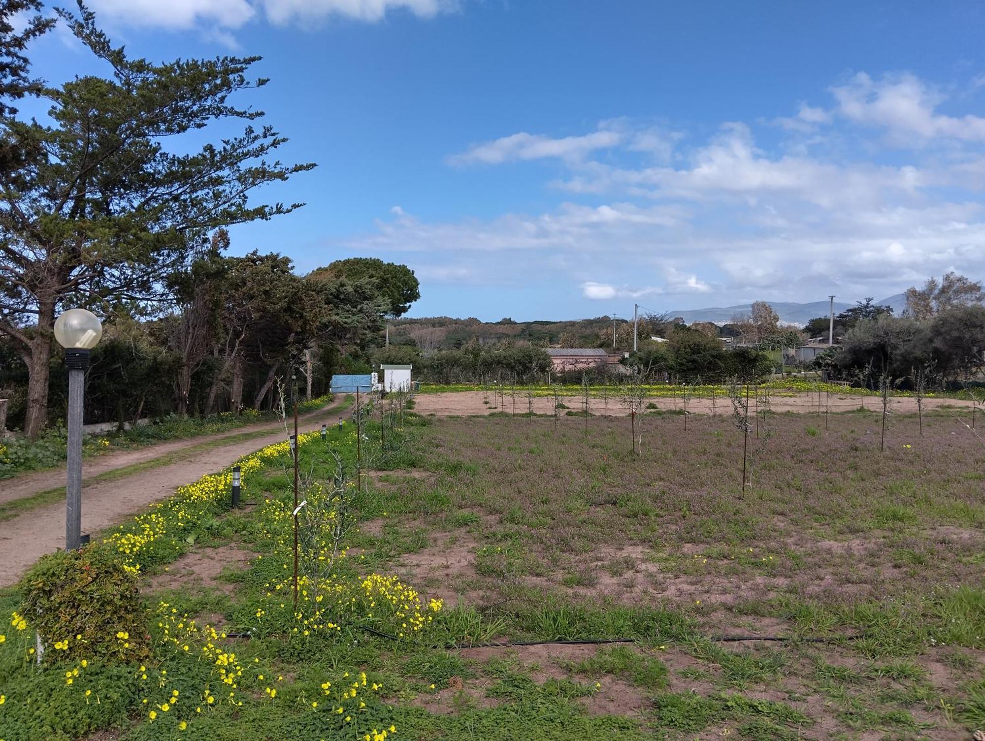Mare Valledoria (Sardinia) Exterior foto