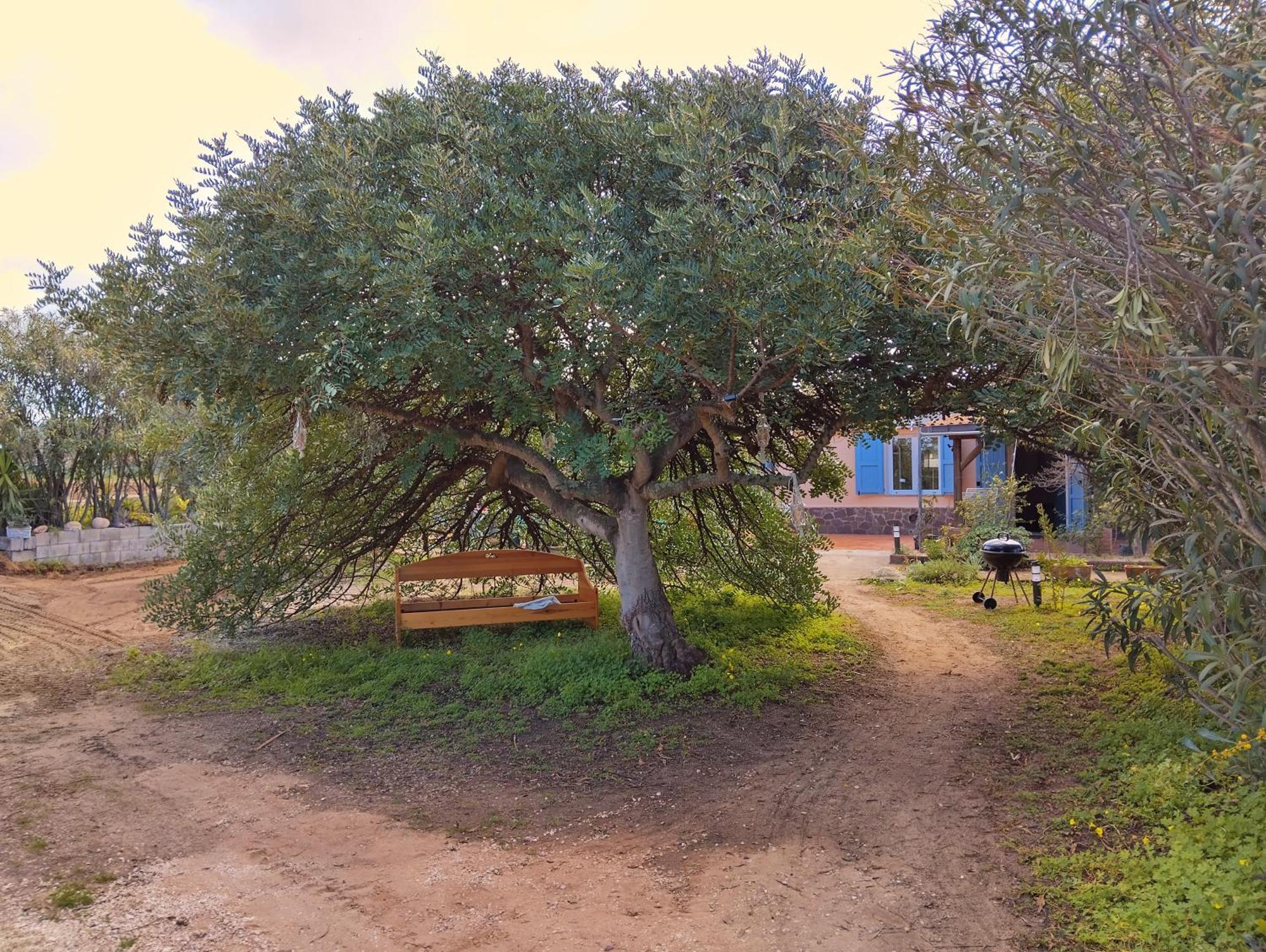 Mare Valledoria (Sardinia) Exterior foto